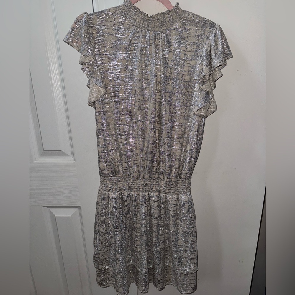 Elegant Silver Dress